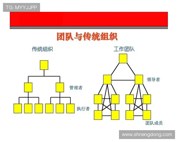 杭州足球队在世界锦标赛中的团队协作表现分析与评价