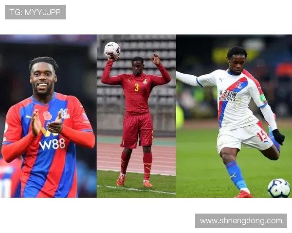 全球知名足球明星盘点有哪些值得关注的球员及其成就